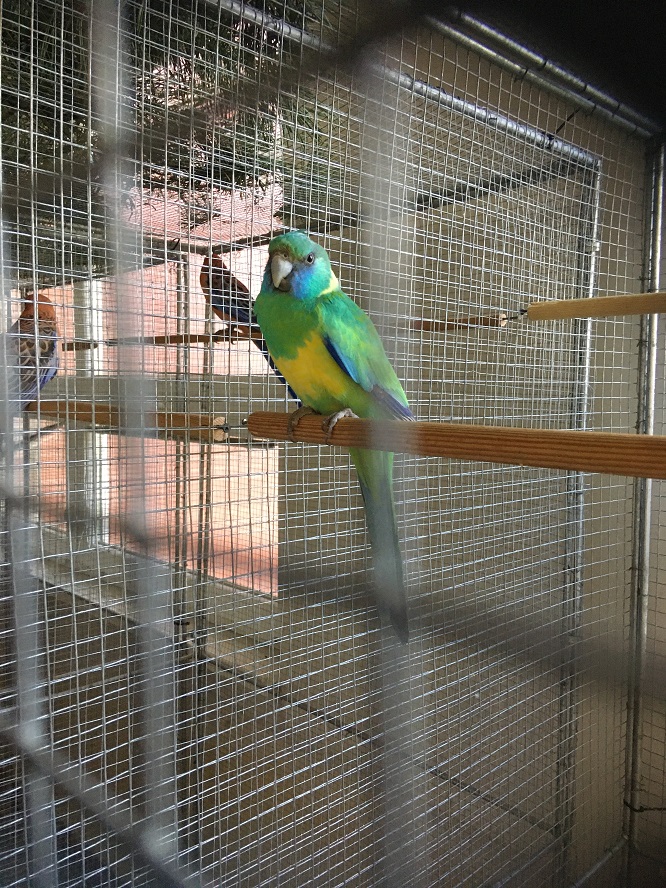 IMG_1453